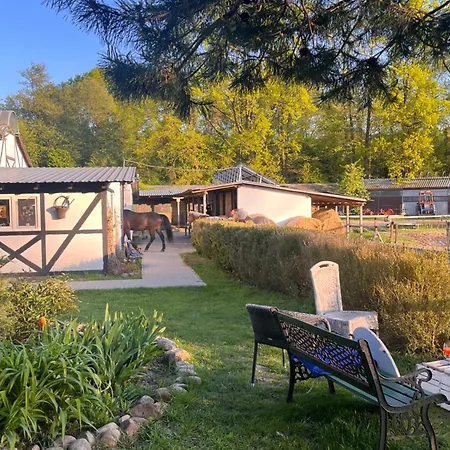 Apartment Dwupoziomowe Agroturystyka- Dorado-puszcza Kampinoska